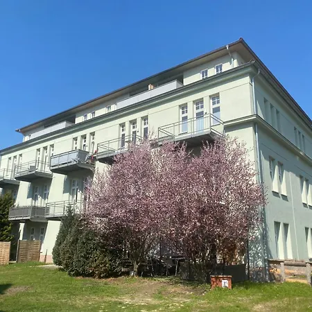 Modernes 1r , Tv Streaming, Balkon Und Parken Magdeburg